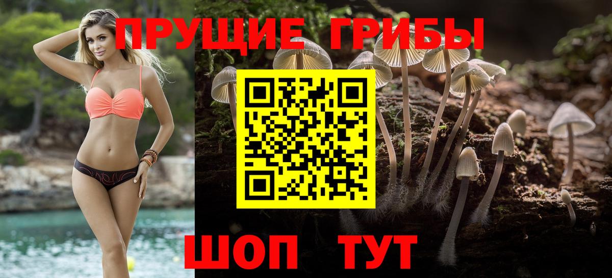 Тамбов  Псилоцибиновые грибы Cubensis  Вход с VPN  Псилоцибиновые грибы Psilocybe 